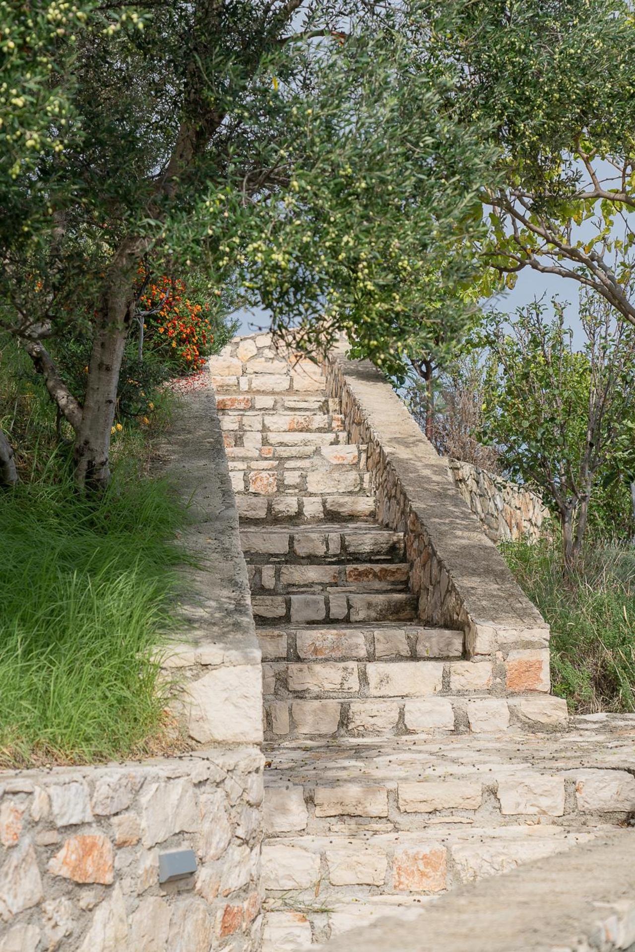 Kymothoe Elite Suites Tsilivi  Exteriör bild